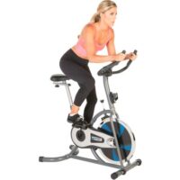 ProGear 100S Exercise Bike/Indoor Training Cycle