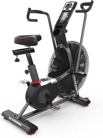 Schwinn AD Pro Airdyne