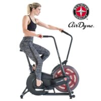 Schwinn AD2 Airdyne Bike