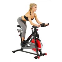 Sunny Health & Fitness SF-B1002 49lb Flywheel Belt Drive Indoor Cycle Bike