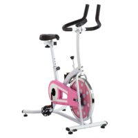 Sunny Health & Fitness P8100 Pink Indoor Chain Drive Cycling Bike