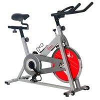Sunny SF-B1001 Indoor Cycling Bike
