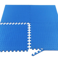 Exercise Puzzle Mat 1/2 inch