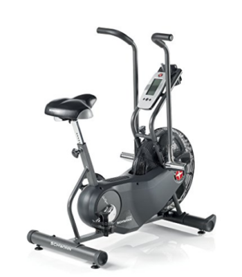 Schwinn AD6 Airdyne Exercise Bike
