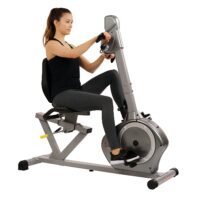 Sunny Health & Fitness Recumbent Bike SF-RB4631 with Arm Exerciser, 350lb,Gray