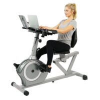 Sunny Health & Fitness Magnetic Recumbent Desk Exercise Bike - SF-RBD4703