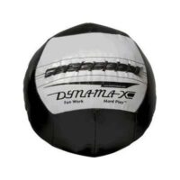 Dynamax Medicine Balls