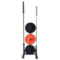 Vertical Barbell & Bumper Plate Holder