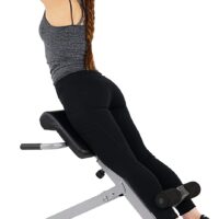 Sunny Health & Fitness SF-BH6629 45 Degree Hyperextension Roman Chair