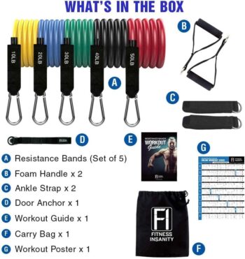 Fitness Insanity Resistance Bands Set - 5-Piece Exercise Bands - Portable Home Gym Accessories - Stackable Up to 150 lbs - Perfect Muscle Builder for Weights, Dumbbells, Arms, Leg, Chest, Back, Glutes