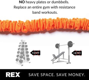 REX Full Body Workout Machines For Home Portable Home Gym With 4 Resistance Bands With Bar & Lewin Fitness Platform Plus Accessories - Total Body Gym for Work Outs at Home