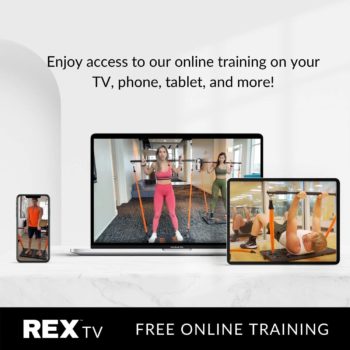 REX Full Body Workout Machines For Home Portable Home Gym With 4 Resistance Bands With Bar & Lewin Fitness Platform Plus Accessories - Total Body Gym for Work Outs at Home