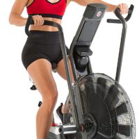 SCHWINN AD7 Airdyne Bike