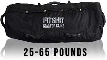 FITSHIT Sandbag for Training Workouts - Heavy Duty - Durable Functional Fitness Weighted Sandbags. {Sand not Included}