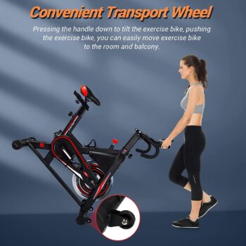 Exercise Bike, DMASUN Indoor Cycling Bike Stationary, Comfortable Seat Cushion, Multi - grips Handlebar, Heavy Flywheel Upgraded Version