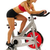 Sunny Health & Fitness SF-B901 Pro Indoor Cycling Exercise Bike