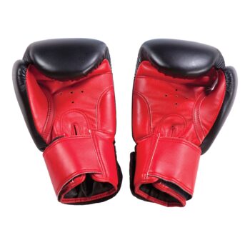 PowerForce Boxing Gloves 12 oz.