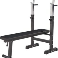 GORILLA SPORTS® Weight Bench with Barbell Rack - Adjustable, Foldable, Dip Station, Flat/Incline, Max 440 lb, Heavy Duty, Black/White - Bench Press Station, Chest Workout Equipment, Home Gym Training