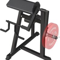GMWD Bicep Tricep Curl Machine, Plate Loaded Bicep Curls and Tricep Extension Machine, 2 in 1 Exercise Equipment for Home Gym Workout Station