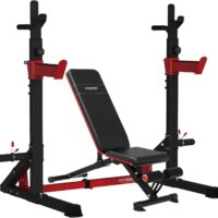 HARISON Multifunction Squat Rack with Adjustable Weight Bench, Heavy Duty Barbell Rack with Pull Up Bar Station for Home Gym