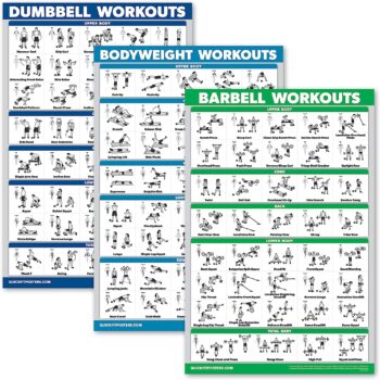 QuickFit 3 Pack - Dumbbell Workouts + Bodyweight Exercises + Barbell Routine Poster Set - Set of 3 Workout Charts