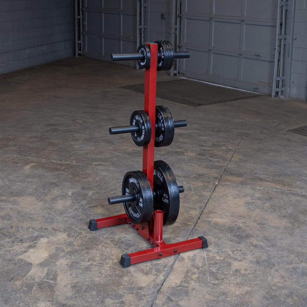Best Fitness Body-Solid (BFWT10) Weight Tree Rack for Olympic Plates - Bumper Plate Storage, Weight Plate Holder