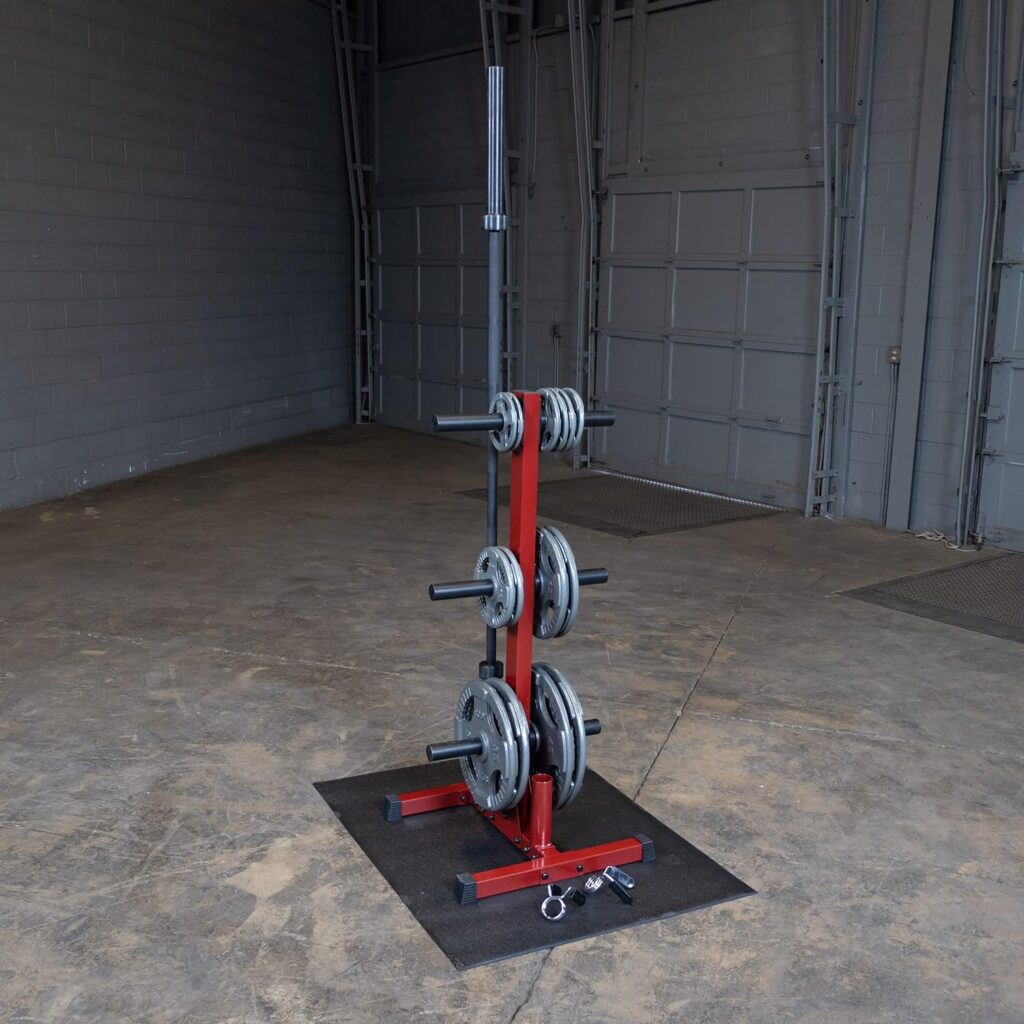 Best Fitness Body-Solid (BFWT10) Weight Tree Rack for Olympic Plates - Bumper Plate Storage, Weight Plate Holder