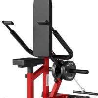 syedee Seated Dip Machine Plate Loaded- Tricep Dip Press Machine with Cable Bar for Biceps Chest Training, Hold up to 400LBS