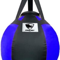 PROLAST Wrecking Ball Heavy Bag Body Snatcher Professional Boxing Training Muay Thai MMA Specialty Punching Bag (Filled)