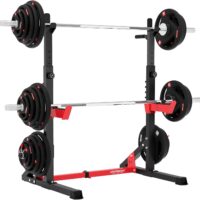 HARISON Multifunction Power Cage Adjustable Squat Rack, Heavy Duty Pull Up Bar Station for Home Gym