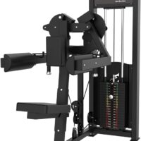SFE Lateral Raise Delt Machine with 250lb Weight Stacks