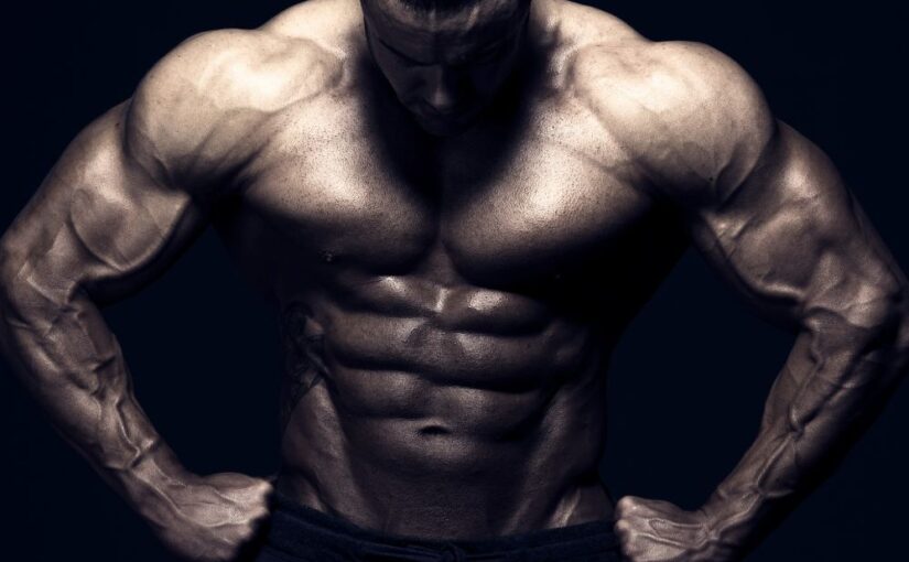 Muscle Size and Strength: What’s the Real Connection?