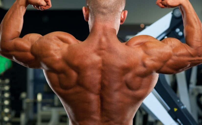 Barbell Row or Dumbbell Row: What’s Best for You?