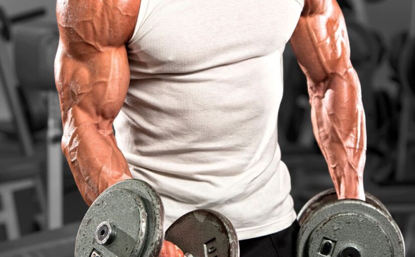 Do Accessory Lifts Build Strength or Hypertrophy